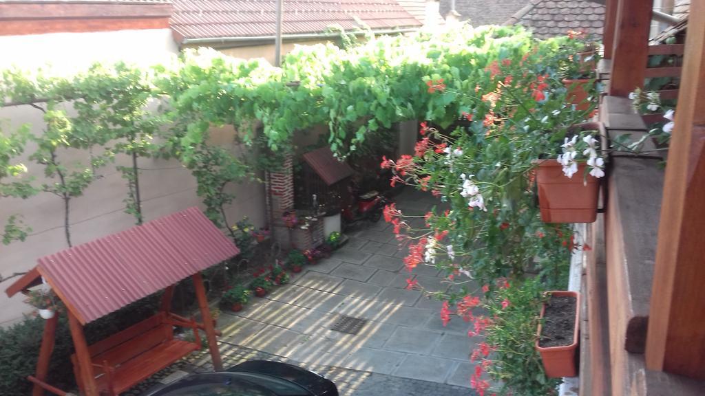 Pensiunea Razvan Gura Raului Exterior photo